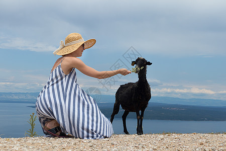 在克罗地亚亚得里亚海沿岸旅行时 穿着条纹夏装和草帽的年轻迷人女游客蹲着 喂养和抚摸黑羊泥路裙子国家旅游宠物帽子女性场景女士冒险图片
