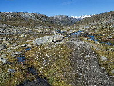 在挪威西部Jotunheimen国家公园中 红Krossbu旅游站山棚楼从高山到蓝色溪流 积雪山脉和橙色苔和热液的冰川荒地旅游建图片
