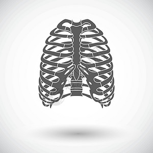 人类胸腔的图标医疗生物学胸骨解剖学胸部生活卫生科学保健骨骼图片