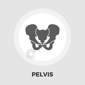 Pelvis 图标平板图片