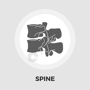 解剖脊柱图标 fla磁盘项目腰椎器官背痛骨骼身体科学黑色骨科图片