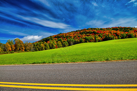 横跨新英格兰乡村的公路 美国农耕季节农村森林场景树木绿色黄色爬坡风景红色天空图片