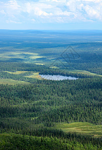 北部荒野 森林 沼泽和湖泊图片
