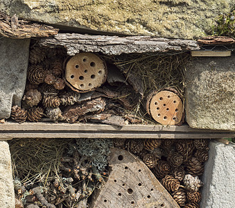 有关自制昆虫旅馆装饰性臭虫屋的详细信息 由沙石和木 草鸟和蜜蜂组成 供蝴蝶冬眠和生态园艺之用图片