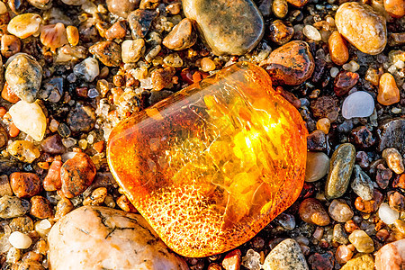 在波罗的海的海滩上安珀石头化石康复材料矿物树脂岩石果汁首饰宝石背景图片