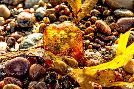 在波罗的海的海滩上安珀地质学康复宝石宏观树脂首饰橙子材料化石果汁背景图片