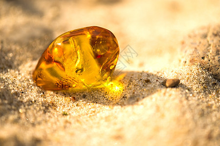 在波罗的海的海滩上安珀矿物首饰水晶材料康复橙子化石石头宏观树脂图片