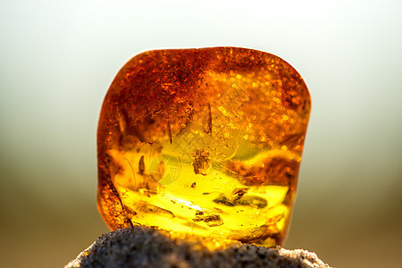 在波罗的海的海滩上安珀岩石橙子化石水晶矿物地质学宝石果汁宏观树脂背景图片