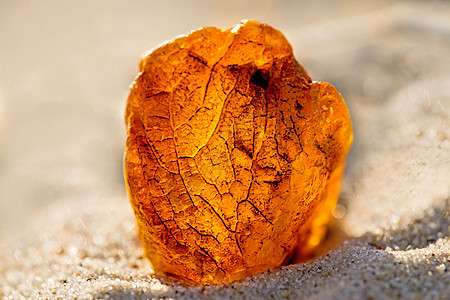 在波罗的海的海滩上安珀岩石宝石首饰水晶石头材料橙子化石果汁矿物图片