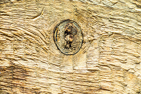 带有纹理和结孔的旧木板条纹水平材料木材节孔木头棕色灰色控制板硬木图片