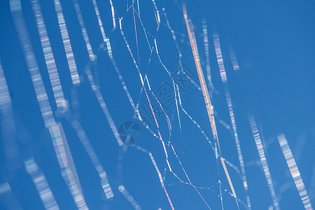 蜘蛛网的飞线背景图片