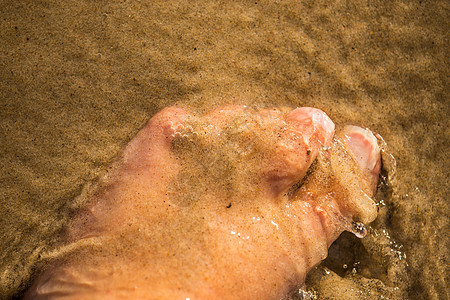 脚在水中冲浪假期棕色海滩洗澡海洋图片