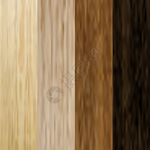 设置各种木板 松树 橡树 角树 复合地板 木制的背景 木材纹理 插图图片