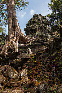 Ta Prohm 吴哥窟 柬埔寨 树根吞没了寺庙结构和尚考古学旅行高棉语佛教徒宗教丛林旅游建筑学遗产图片