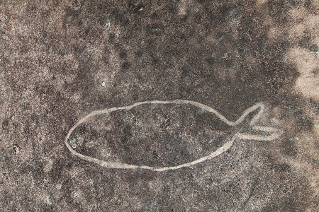 澳大利亚新南威尔士州Dharawal 雕刻或花纹艺术石刻石头黑色岩画白色蚀刻文化水泥雕刻品图片