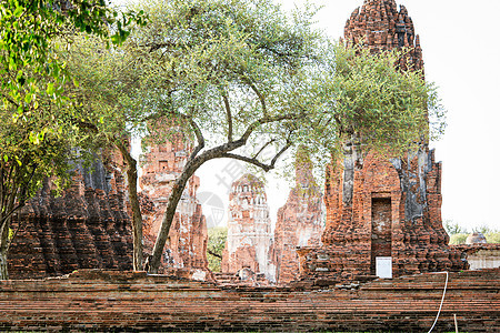 Ayutthaya著名的古寺建筑 Ph的圣殿游客考古学热带佛像宗教历史性佛教徒文化旅行建筑学图片