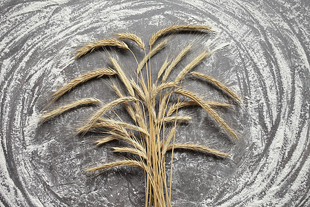 灰色背景的小麦和面粉的耳朵 顶尖视野 谷物食物燕麦收成桌子薄片粮食收获大麦厨房营养图片