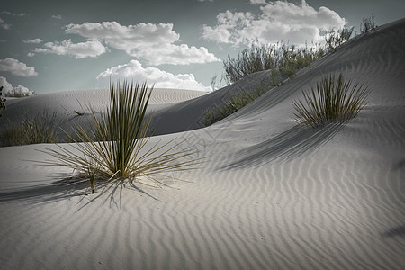 白沙丘衬套沙漠阴影峡谷山脉绿洲旅游旅行公园照片图片