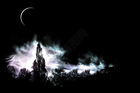 月光中的夜林图片