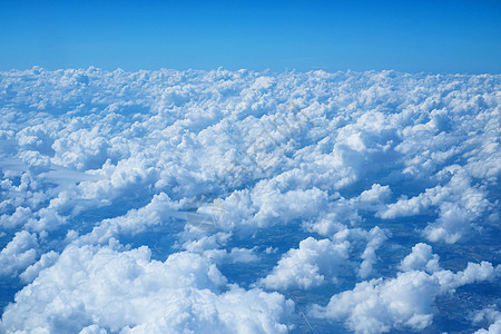 蓝色天空和大树丛云景天堂阳光风景白色多云环境艺术日光图片