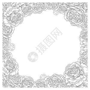 花卉方框 优雅的花朵 玫瑰 牡丹矢量 装饰婚礼卡背景模板 图形插图背景图片