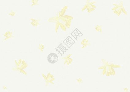 带花朵的文具黄色卡片水仙花插图背景图片