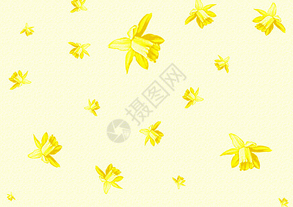 带花朵的文具卡片水仙花黄色插图背景图片
