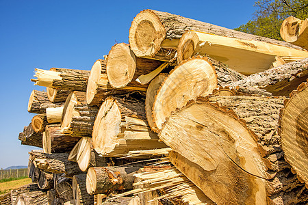 砍开的树木材料圆形库存砍伐橡树活力森林木材加热蓝色图片