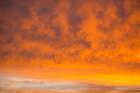 日出时有红云的天空黑色图层情绪橙子红色黄色图片