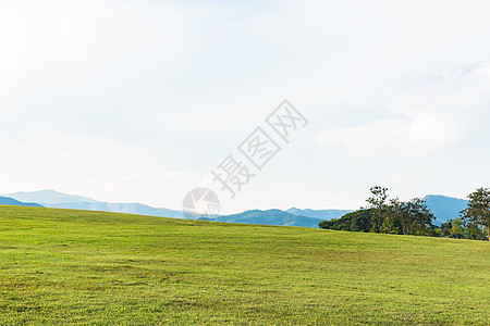 绿地和蓝天空 白云阳光植物土地地平线植被太阳草原墙纸农村天空背景图片