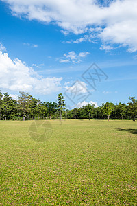 绿草林公园阳光森林叶子高尔夫球公园花园环境场地蓝色草地图片