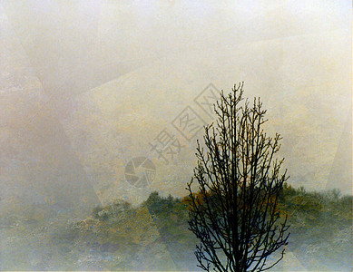 孤独的树尘世纤维帆布艺术空白风景艺术品插图水彩墙纸图片