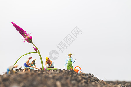 迷你人 园丁照顾 在Fi的种植植物场地农场绿色蔬菜环境花园数字温室园艺叶子图片