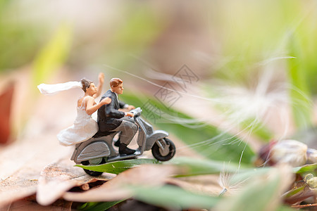 骑摩托车的夫妇 在花园里骑着摩托车的人冒险男性男人骑士骑术夫妻白色旅行女士蜜月图片