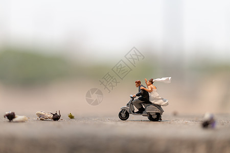 骑摩托车的夫妇 在花园里骑着摩托车的人冒险骑术妻子男人夫妻白色蜜月发动机女孩女性图片