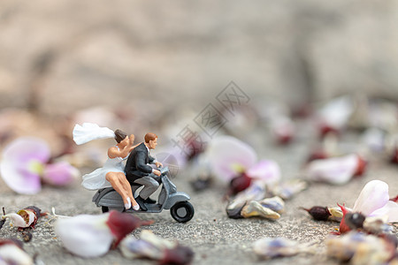骑摩托车的夫妇 在花园里骑着摩托车的人车辆夫妻骑术女孩妻子男性卡通片蜜月运输自行车图片