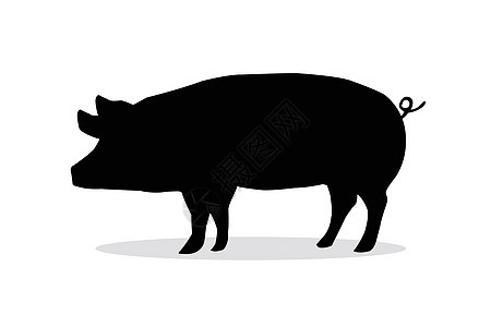 白色背景上的猪肉影子 白色背景上的剪影猪哺乳动物荒野储蓄犀牛奶牛农业火腿玩具银行动物图片