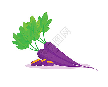 孤立在白色背景上的紫色胡萝卜营养植物食物叶子蔬菜淡紫色花园插图农业烹饪图片