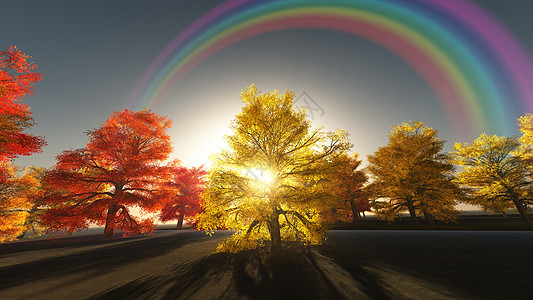 秋树上的彩虹日光风景墙纸阳光童话叶子艺术太阳分支机构魔法图片