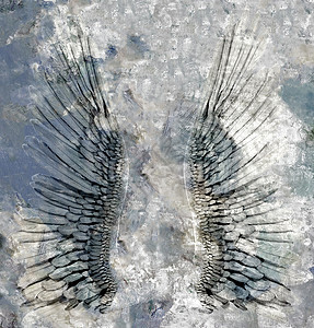 天使翅膀风化魔法神话宗教苦恼绘画天空羽毛自由精神图片