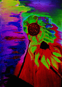 抽象色彩多彩的花朵雏菊艺术品植物群装饰风格花瓣刷子植物调色板插图背景图片