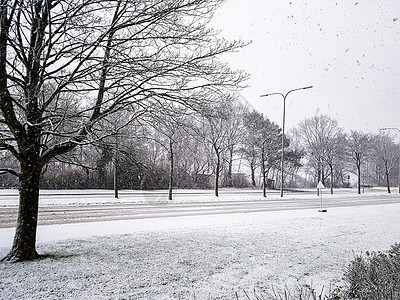 莱赫希德的冬季仙境 德国布雷梅海文的雪图片