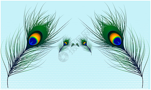 光速抽象背景孔雀毛的矢量设计蓝色插图羽毛尾巴头发情调奢华眼睛草图野生动物图片