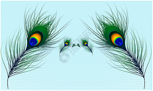 光速抽象背景孔雀毛的矢量设计蓝色插图羽毛尾巴头发情调奢华眼睛草图野生动物背景图片