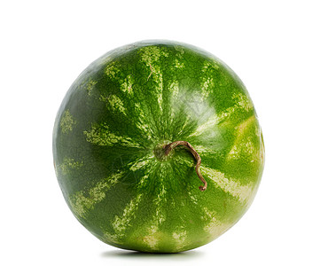 整个圆环西瓜绿条条纹 孤立在白色的后腹角上甜点营养水果绿色食物圆圈圆形浆果图片