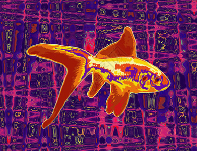 金金鱼飞溅池塘宠物艺术品插图帆布想像力线条水族馆尾巴图片