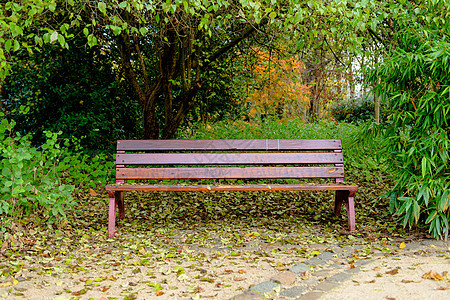 公园中的法官花园长椅座位人行道森林小路家具棕色民众叶子图片