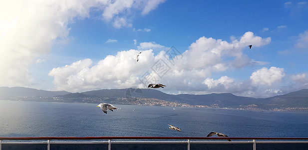 海鸥鸟在海上飞过船尾白鸟 满载乌云的白鸟翅膀海洋蓝色海鸥火鸡海鸟手表海滩空气天空图片