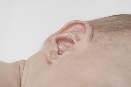婴儿612个月 耳朵闭合男孩头发影棚宝贝棕色图片