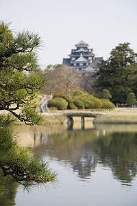 科萨马Korakuen花园的Pond设计地区乐园池塘分支机构绿化景观花园旅行土地图片